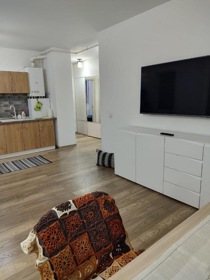 Apartamento Casa Ioana Târgu-Mureş Exterior foto
