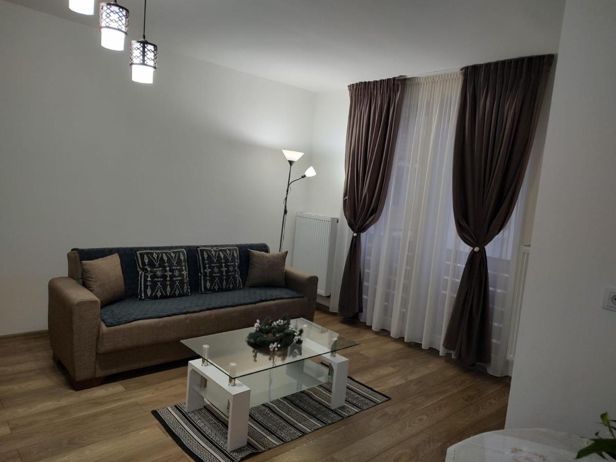 Apartamento Casa Ioana Târgu-Mureş Exterior foto
